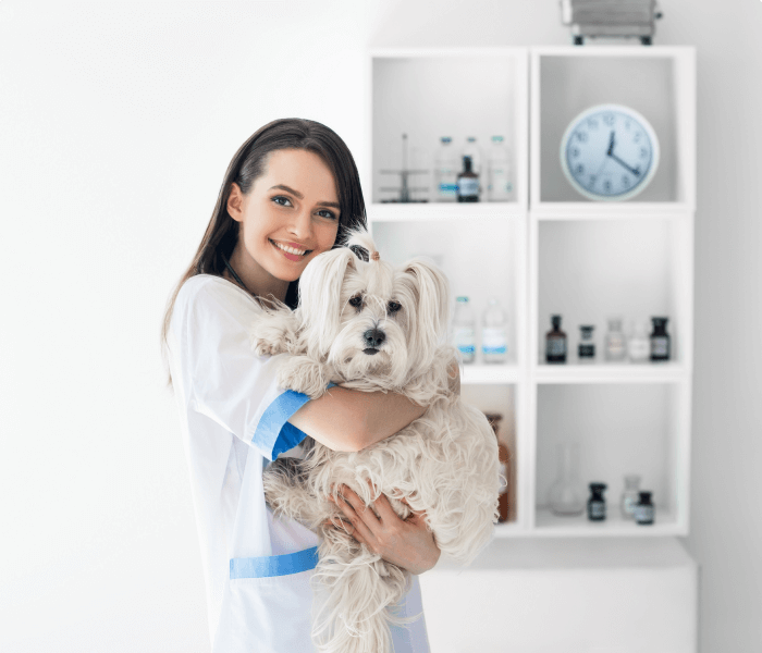 Работаем 24/7